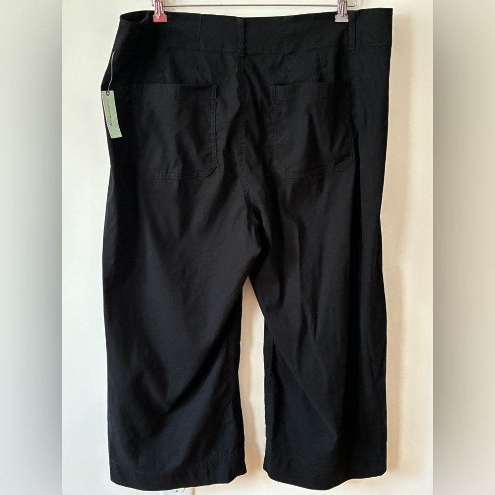 NWT Maeve Anthropologie Colette Wide Leg Pants Size 18W - Picture 3 of 8